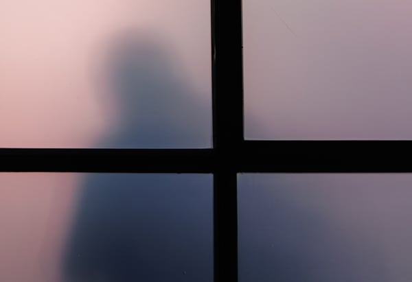 Miles Cull / Snappr News