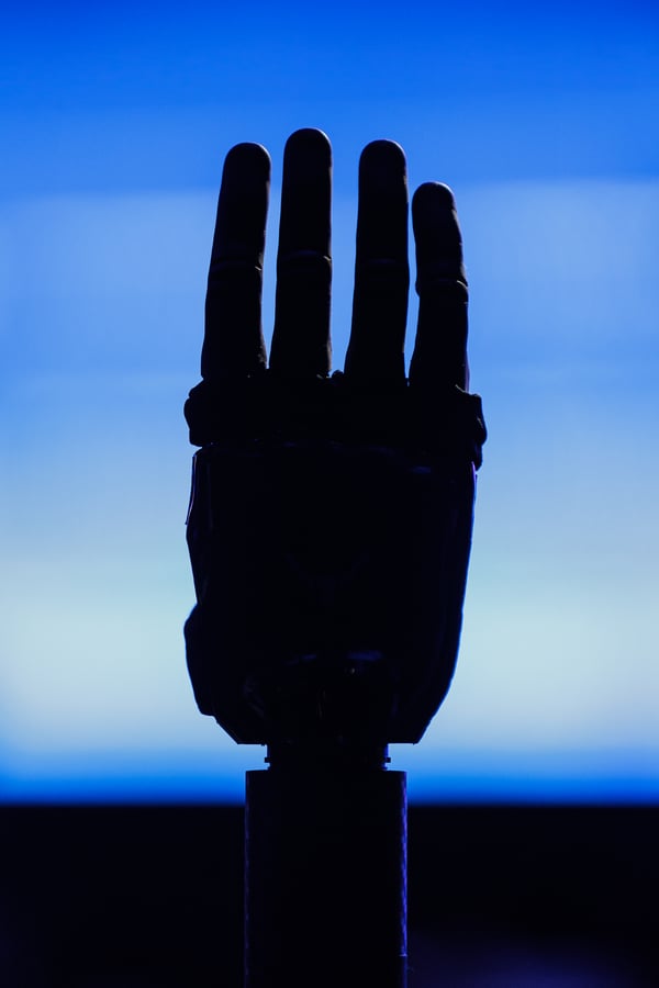 Miles Cull / Snappr News